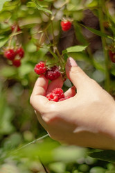 Similar image 21550786