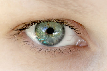 Similar image 21550910