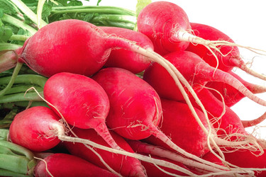 Similar image 21550911