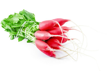 Similar image 21550919