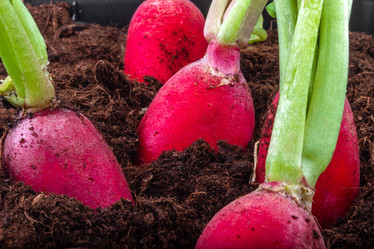 Similar image 21550927