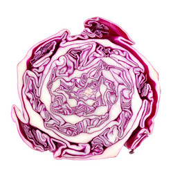 Similar image 21550550