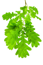 Similar image 21550552