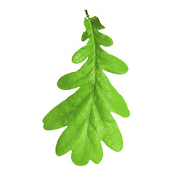 Similar image 21550555