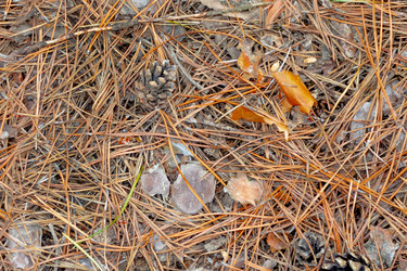 Similar image 21550561