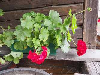 Similar image 21621318