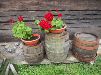 Similar image 21621319