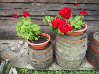 Similar image 21621320