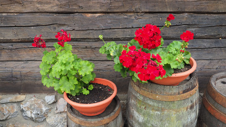 Similar image 21621809