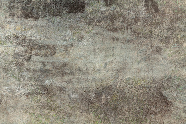 Similar image 21550575