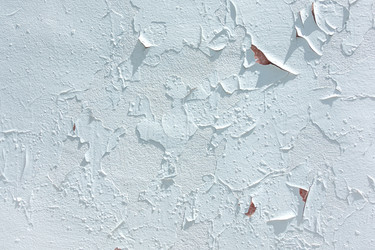 Similar image 21550762