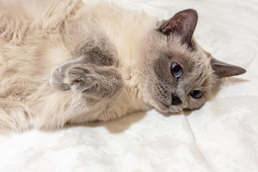 Similar image 21550763