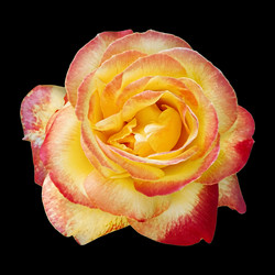 Similar image 21550764