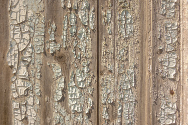 Similar image 21550765