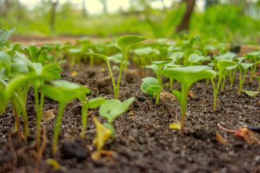 Similar image 21550767