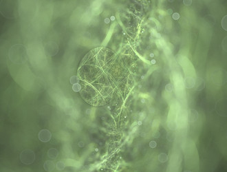 Similar image 21625815