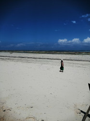 Similar image 21609056