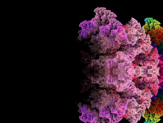 Similar image 21618413