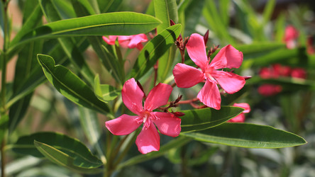 Similar image 21608875