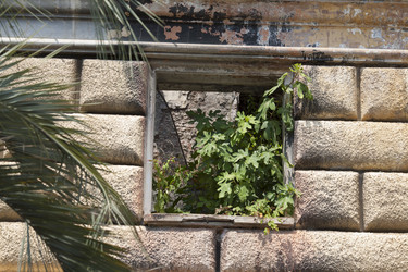 Similar image 21608876