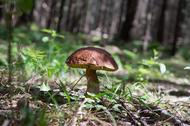 Similar image 21555696