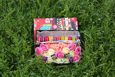 Similar image 21555698