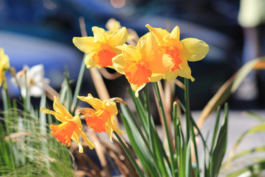 Similar image 21609057