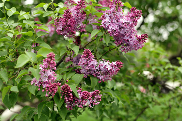 Similar image 21608878