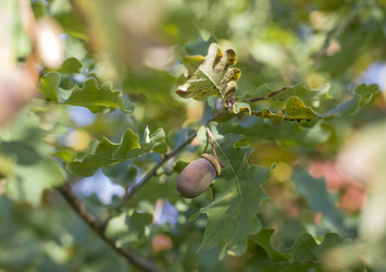 Similar image 21611091