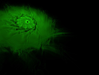 Similar image 21558831