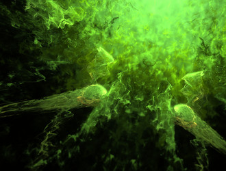 Similar image 21612439