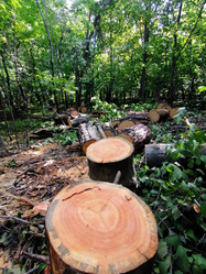 Similar image 21611321