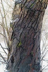 Similar image 21626900