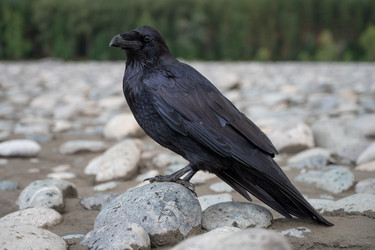 Similar image 21559990