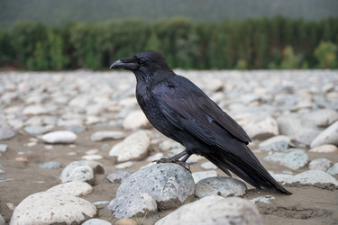 Similar image 21559991