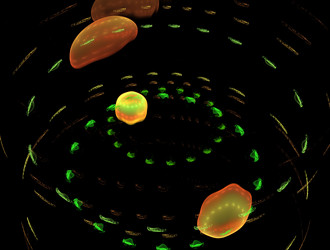 Similar image 21558014