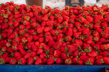 Similar image 21560002