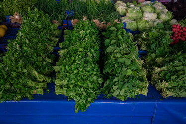 Similar image 21560004