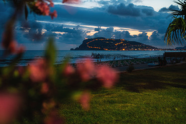 Similar image 21560005