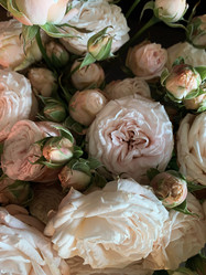 Similar image 21550214