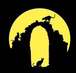 Similar image 21554585