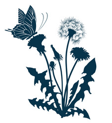 Similar image 21554588