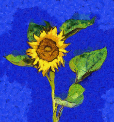 Similar image 21549759