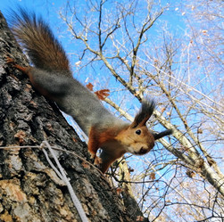 Similar image 21551584