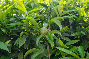 Similar image 21560013