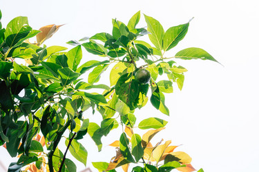 Similar image 21560014