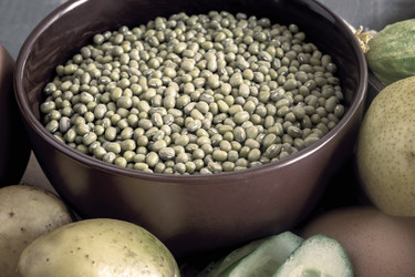 Similar image 21561520