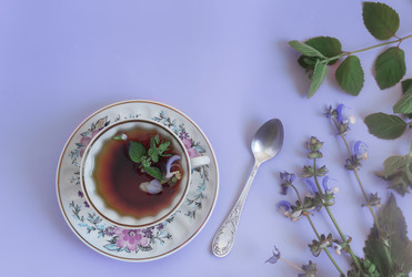 Similar image 21561674