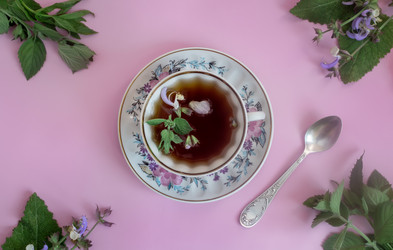 Similar image 21561677