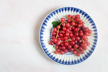 Similar image 21561691